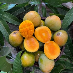 হিমসাগর আম ১১  কেজি প্যাকেজ